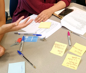 fao diseño metológico