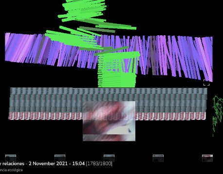 visualización tríptico, maría josé ríos
